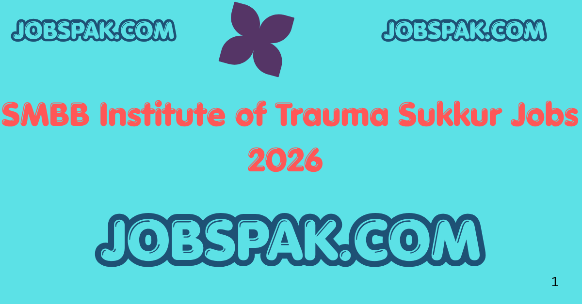 SMBB Institute of Trauma Sukkur Jobs 2026