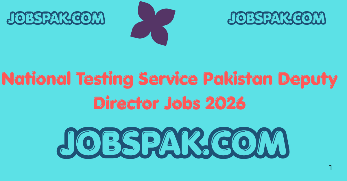 National Testing Service Pakistan Deputy Director Jobs 2026