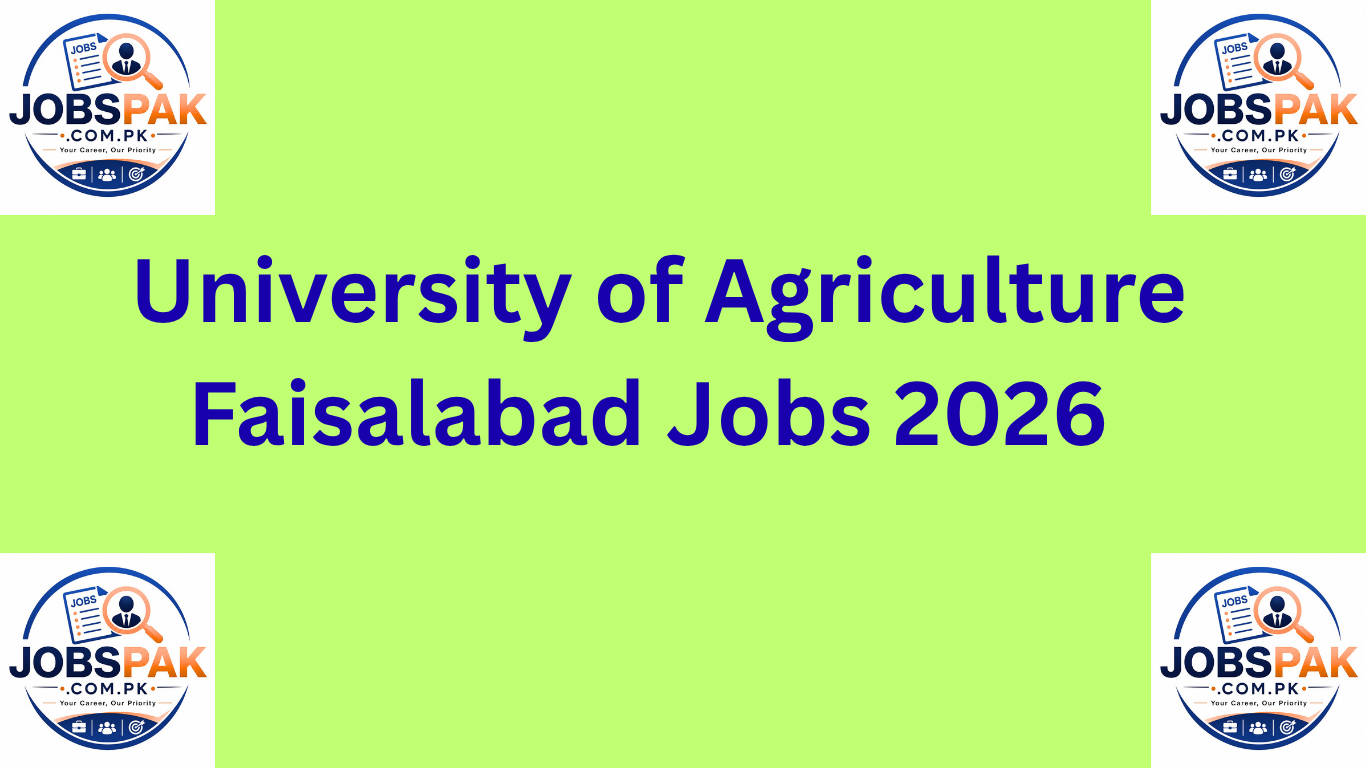 University of Agriculture Faisalabad Jobs 2026