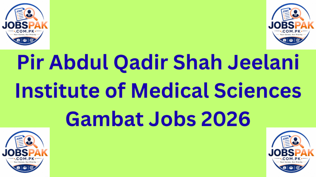 Pir Abdul Qadir Shah Jeelani Institute of Medical Sciences Gambat Jobs 2026