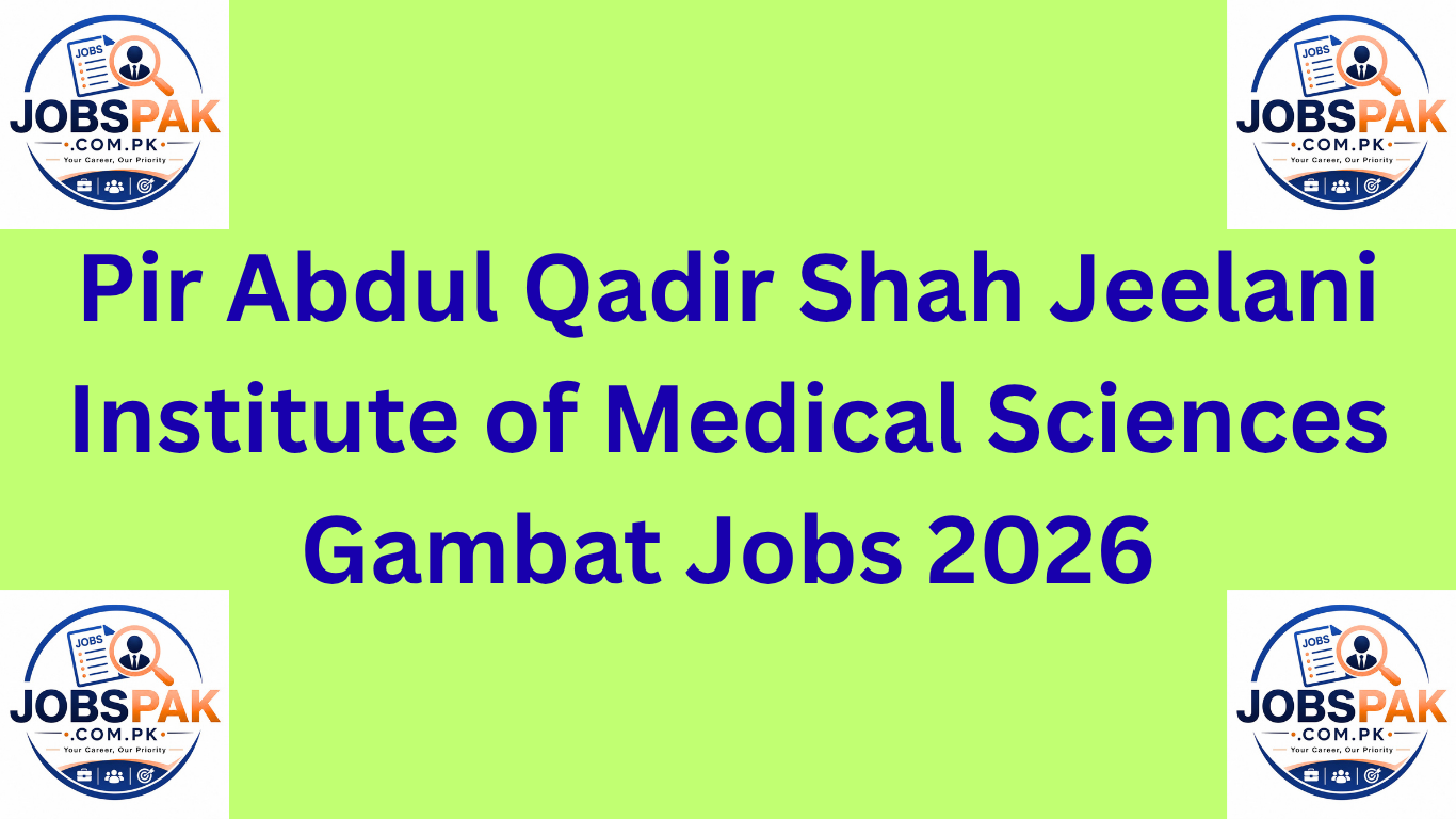 Pir Abdul Qadir Shah Jeelani Institute of Medical Sciences Gambat Jobs 2026