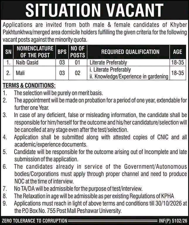 Khyber Pakhtunkhwa Naib Qasid and Mali Vacancies Jobs 2026
